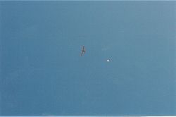 Twinstar & parachute
